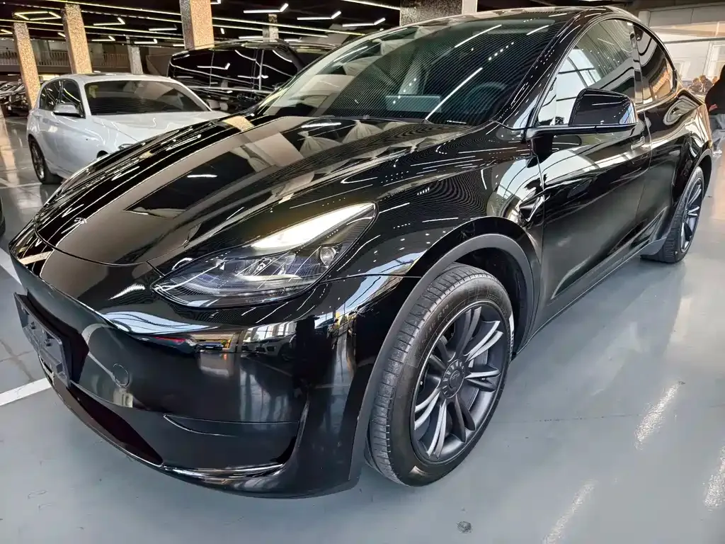 Tesla Model Y 2024 из CN, фото 1