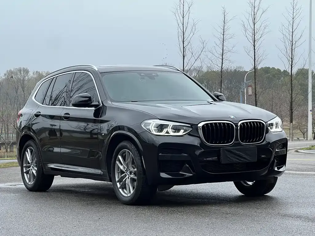 BMW X3 2021 из CN, фото 8