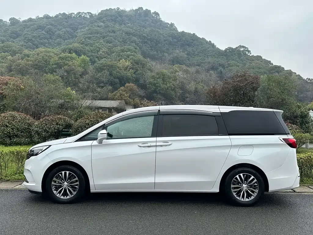Buick GL8 2022 из CN, фото 10
