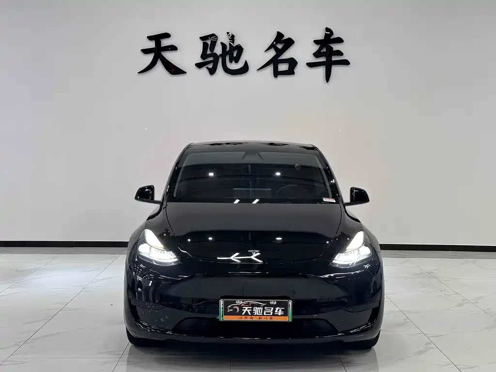 Tesla Model Y — фото 2
