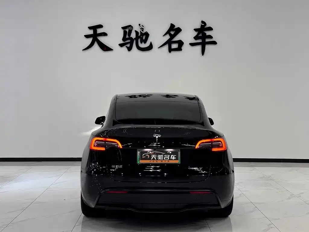 Tesla Model Y — фото 7