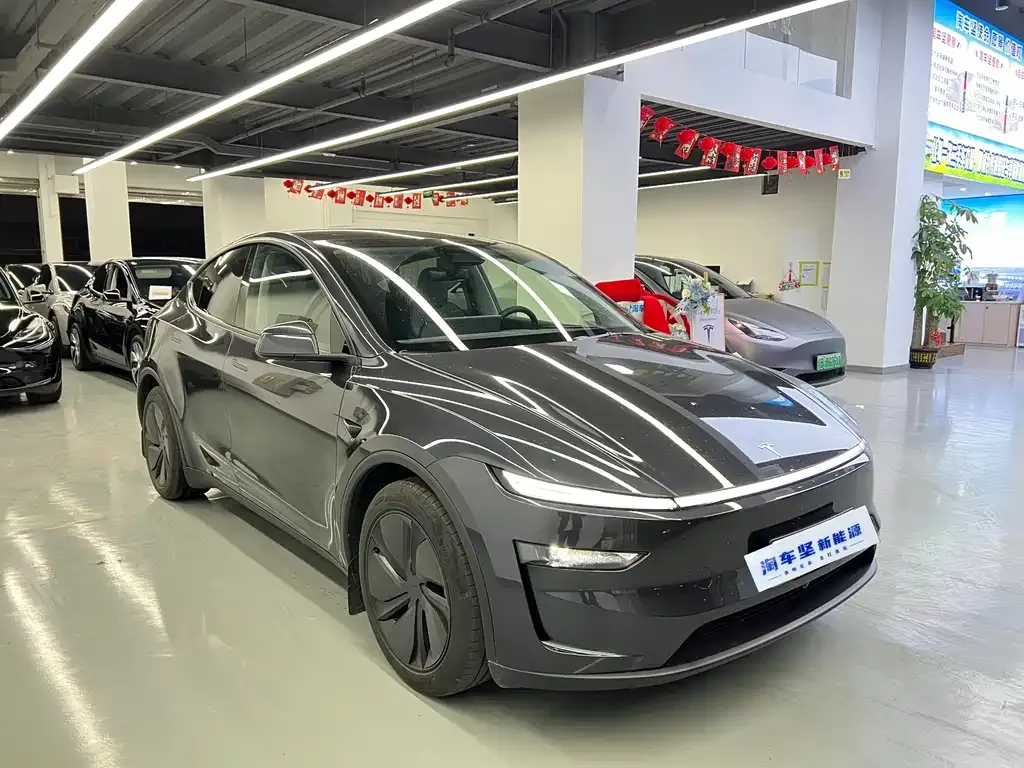 Tesla Model Y 2025 из CN, фото 3