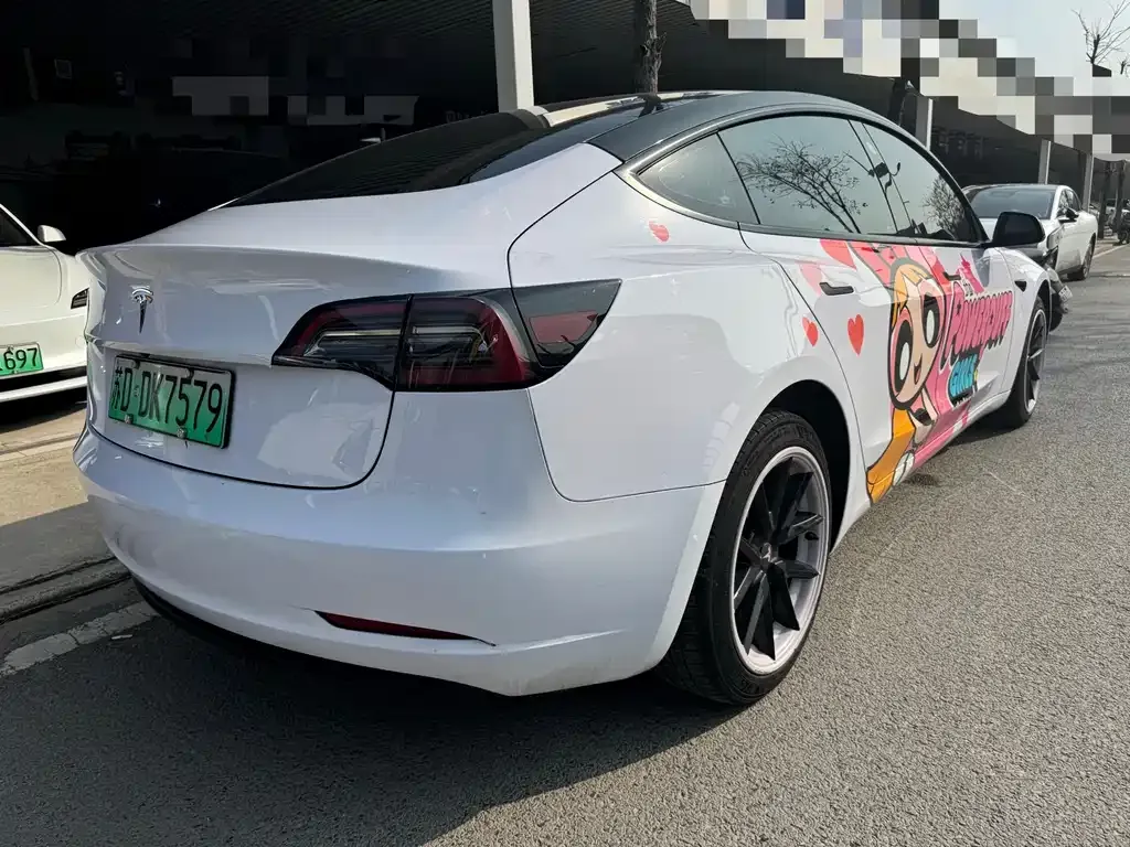Tesla Model 3 2022 из CN, фото 4