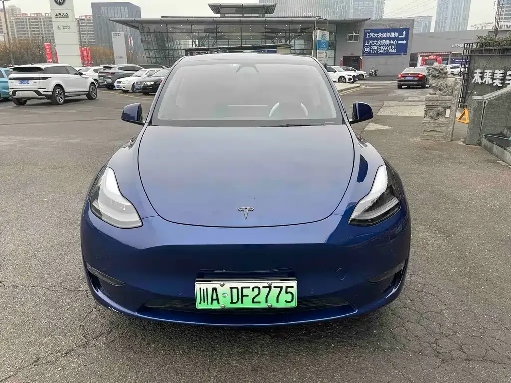 Tesla Model Y — фото 3