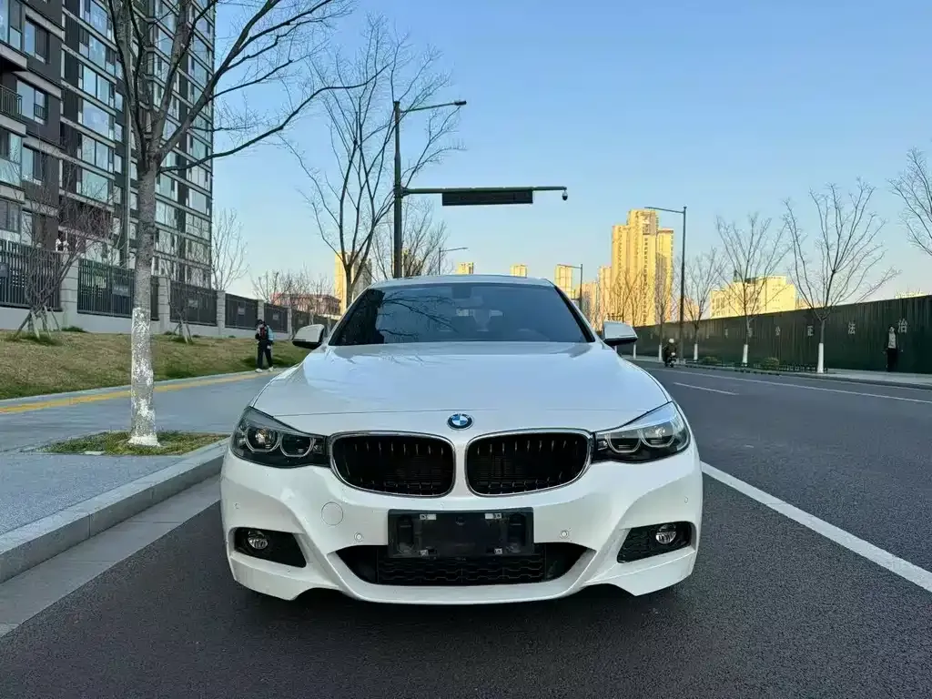 BMW 3 Series GT 2021 из CN, фото 5