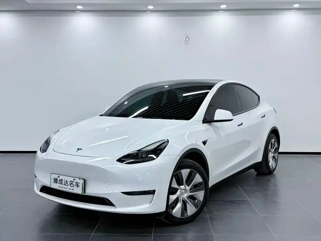 Tesla Model Y — фото 1