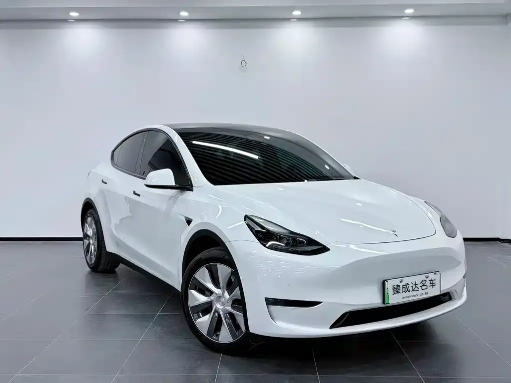 Tesla Model Y — фото 3