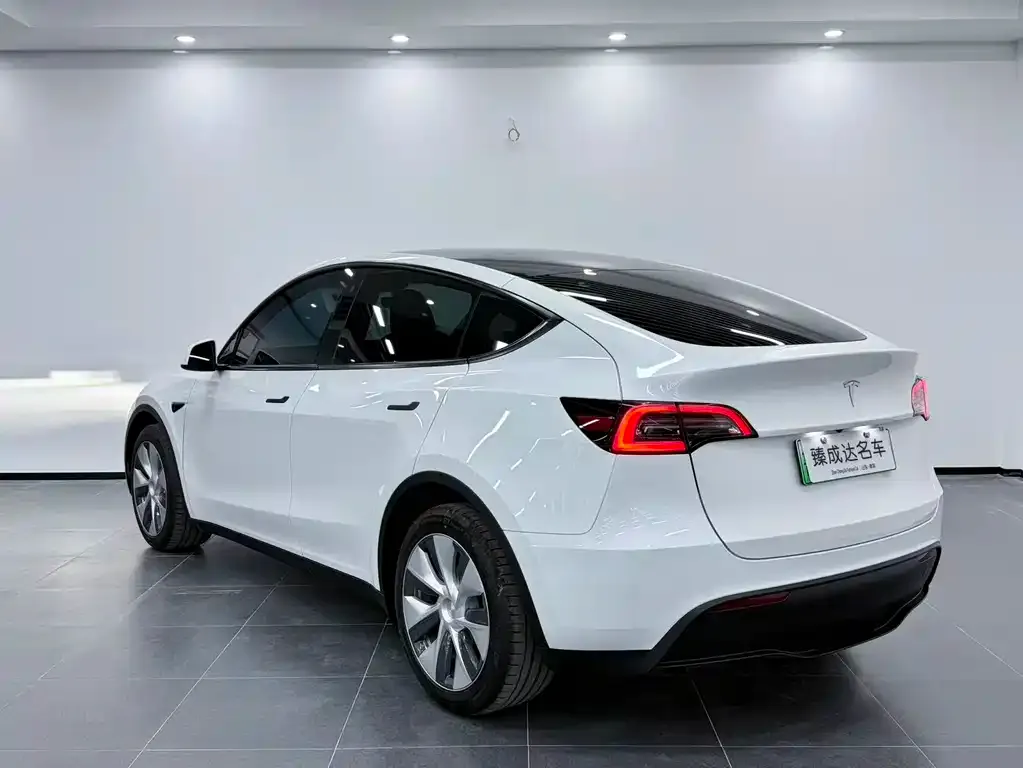 Tesla Model Y — фото 2