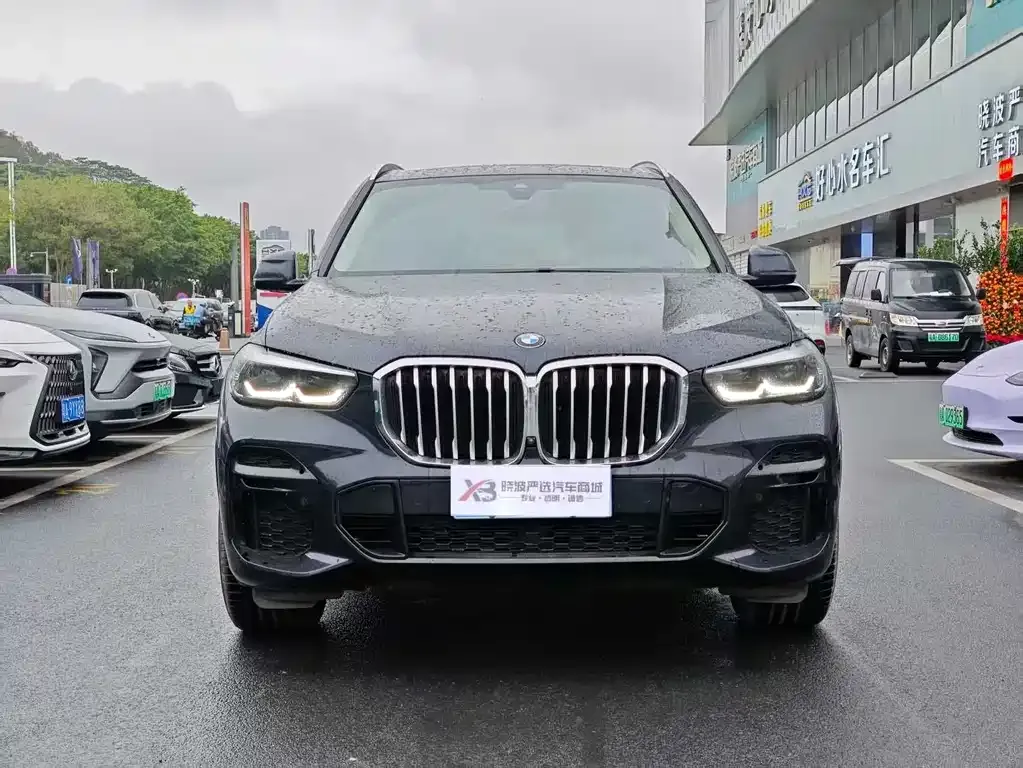 BMW X5 (Import) — фото 6