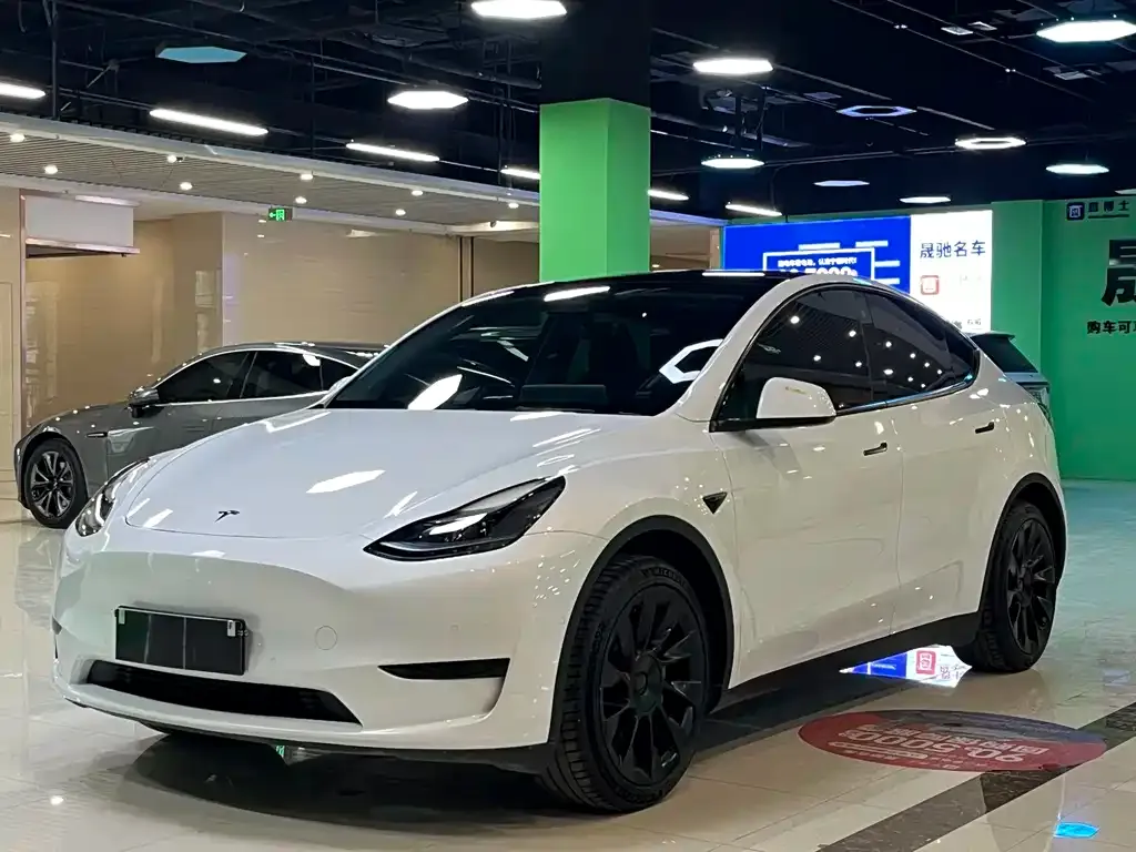 Tesla Model Y — фото 1