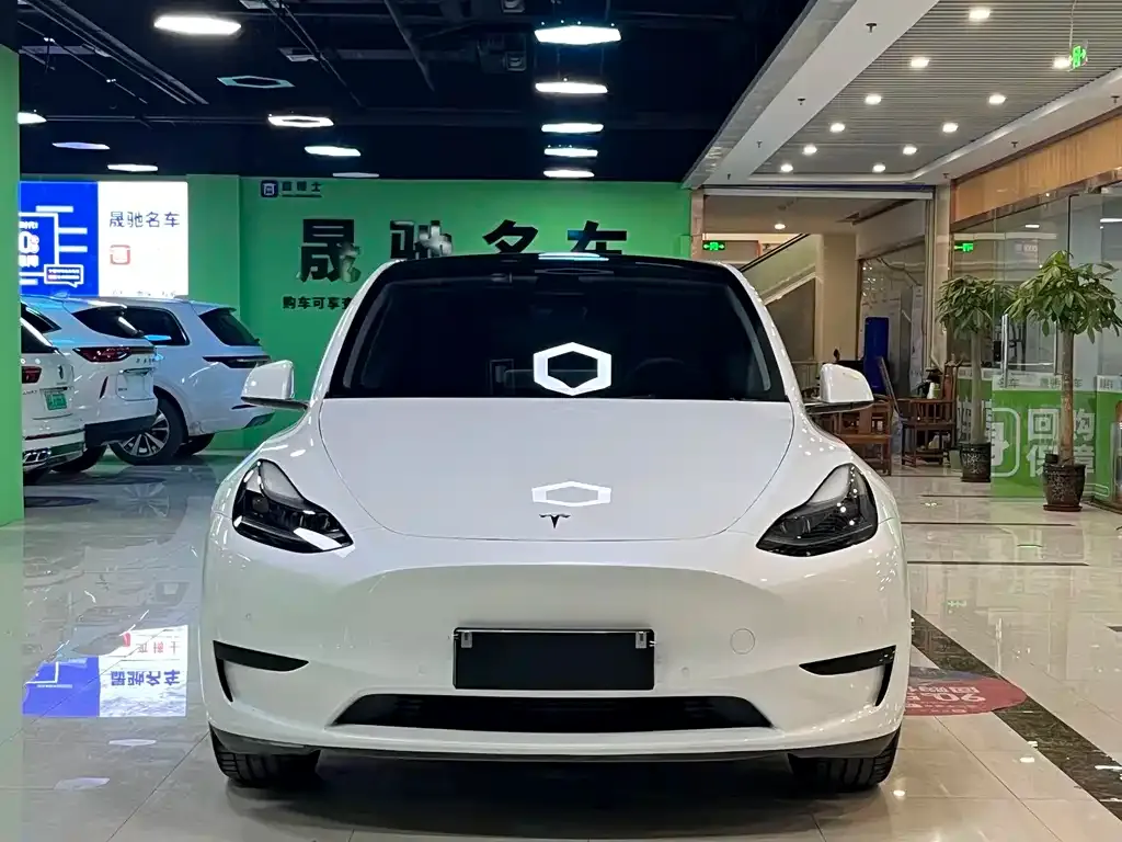 Tesla Model Y — фото 10