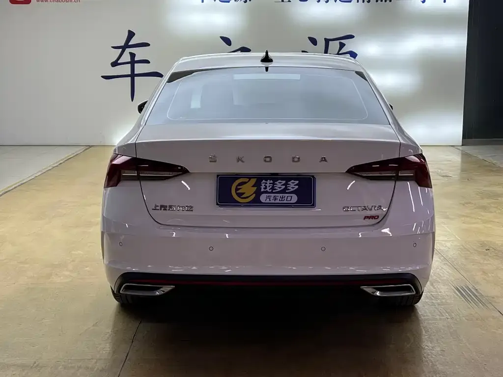 Skoda Octavia 2022 из CN, фото 3