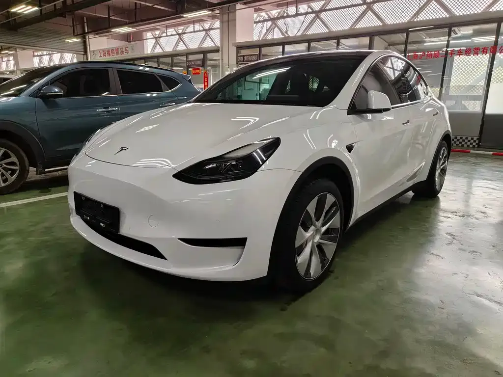 Tesla Model Y 2023 из CN, фото 1
