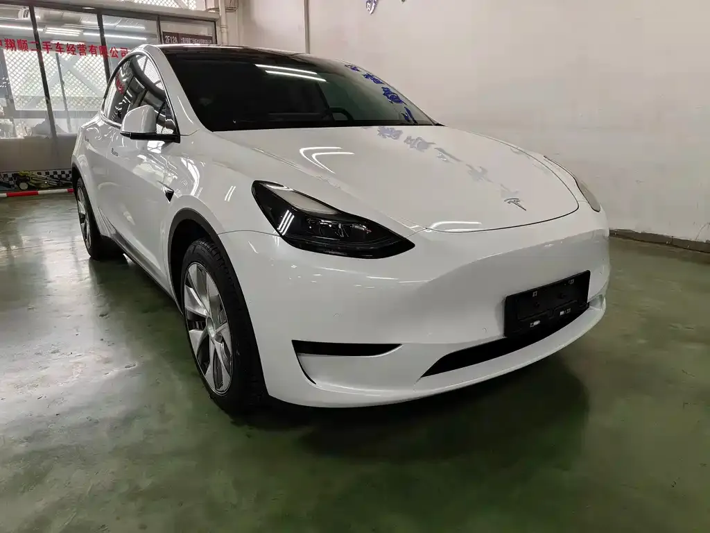 Tesla Model Y 2023 из CN, фото 4