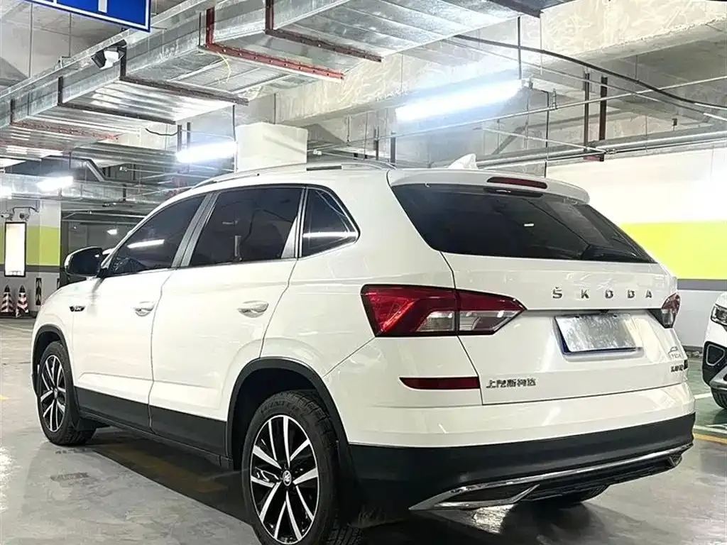 Skoda Kamiq 2022 из CN, фото 4