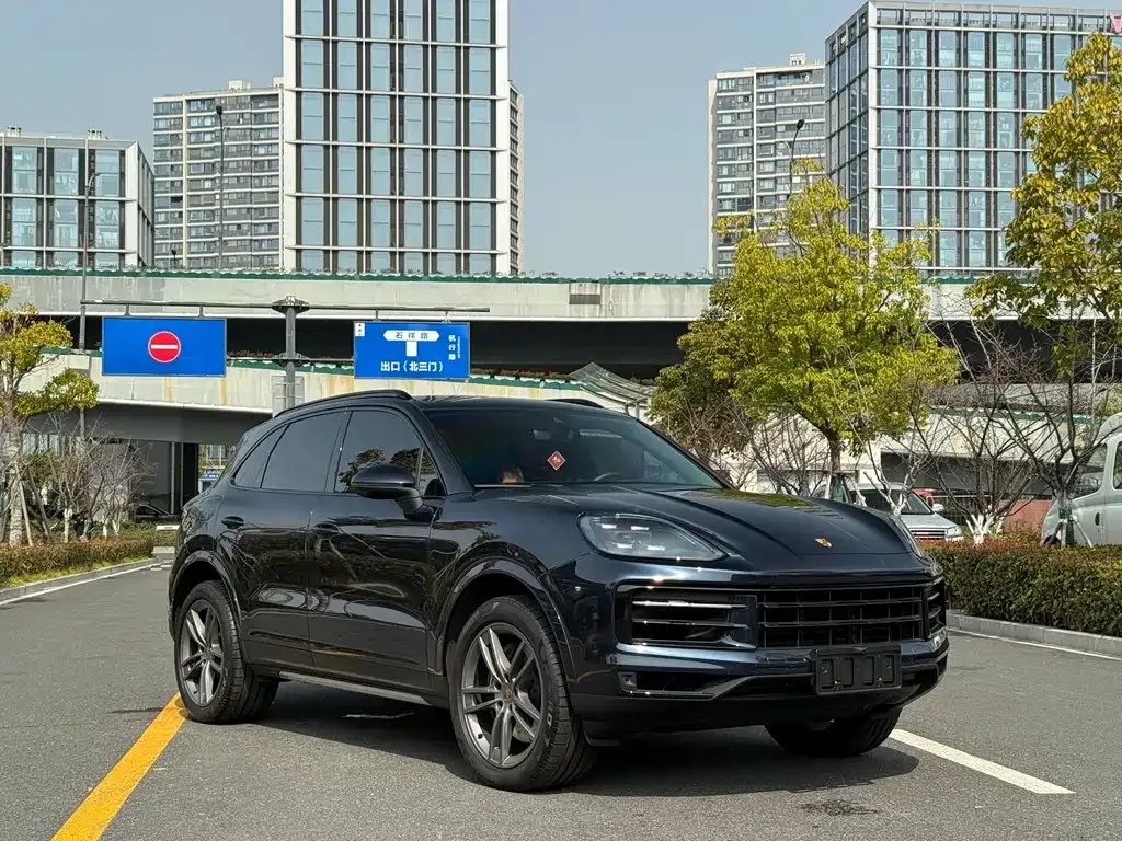 Porsche Cayenne — фото 10
