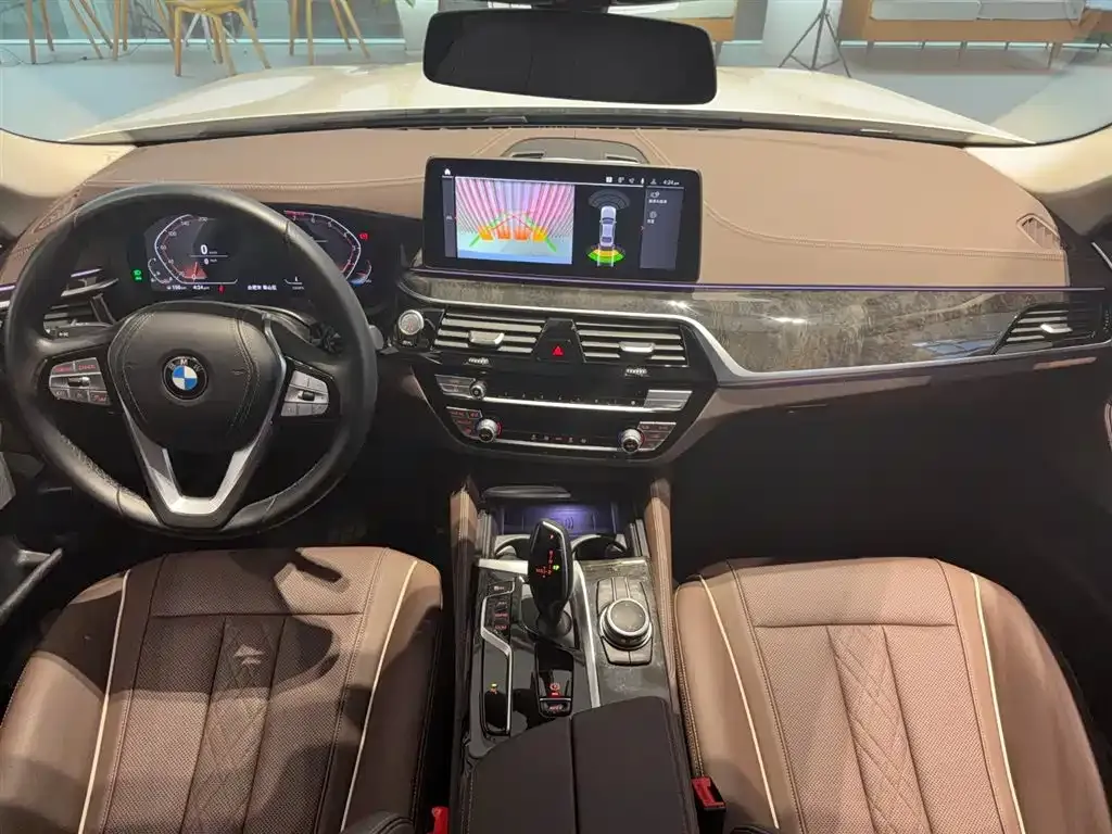 BMW 5 Series 2022 из CN, фото 4