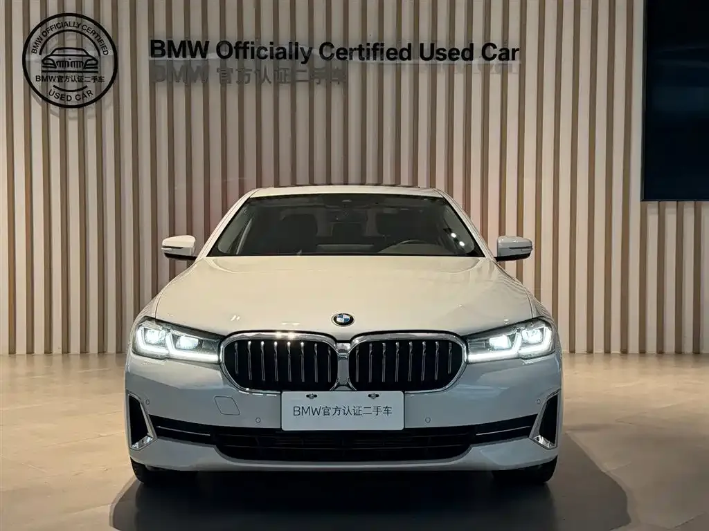 BMW 5 Series 2022 из CN, фото 3