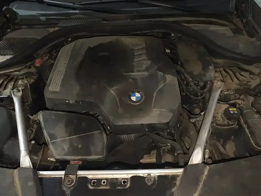 BMW 5 Series 2021 из CN, фото 4