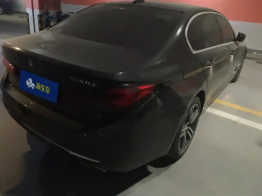 BMW 5 Series 2021 из CN, фото 10