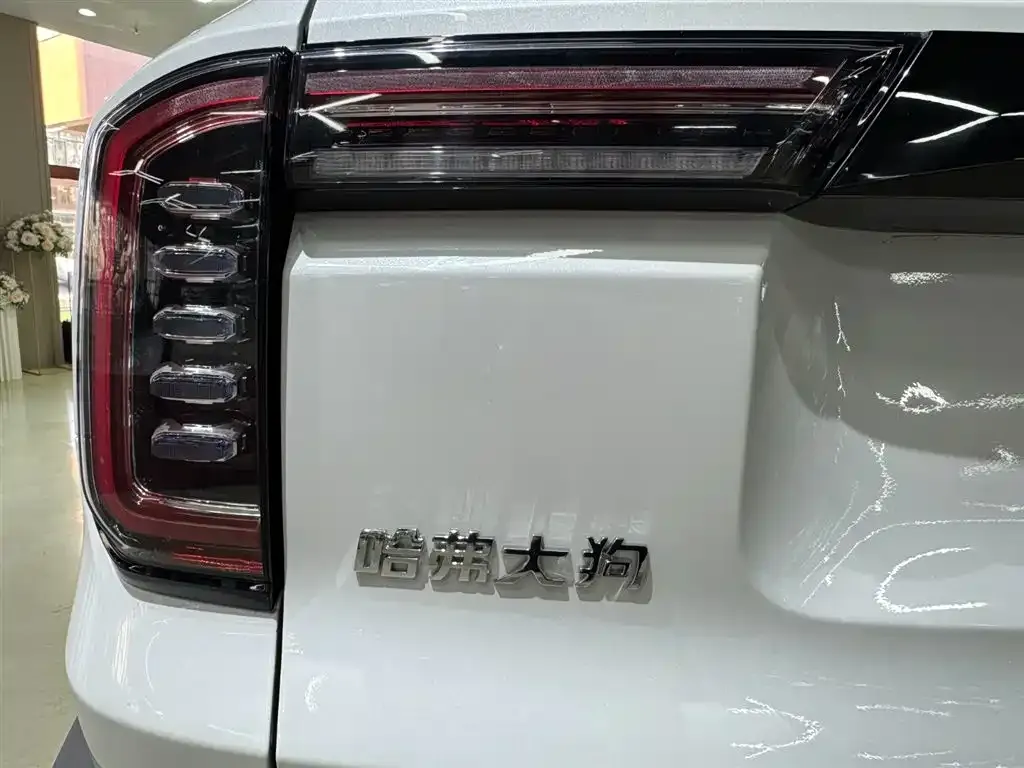 Haval Big Dog — фото 10
