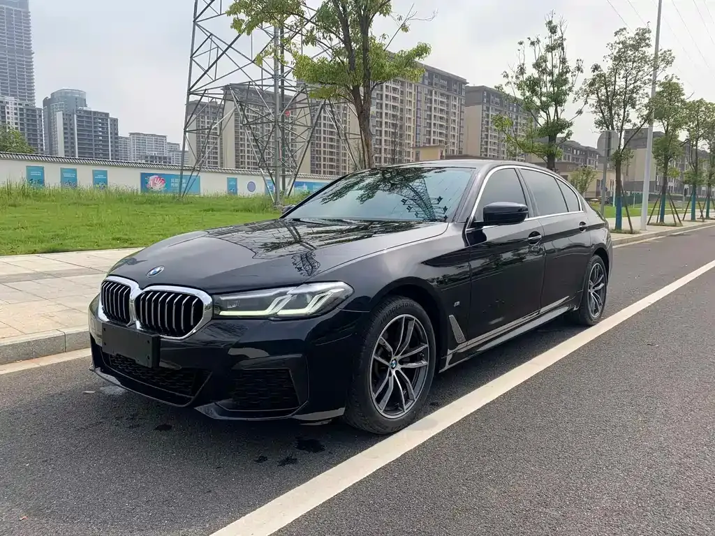 BMW 5 Series 2022 из CN, фото 1