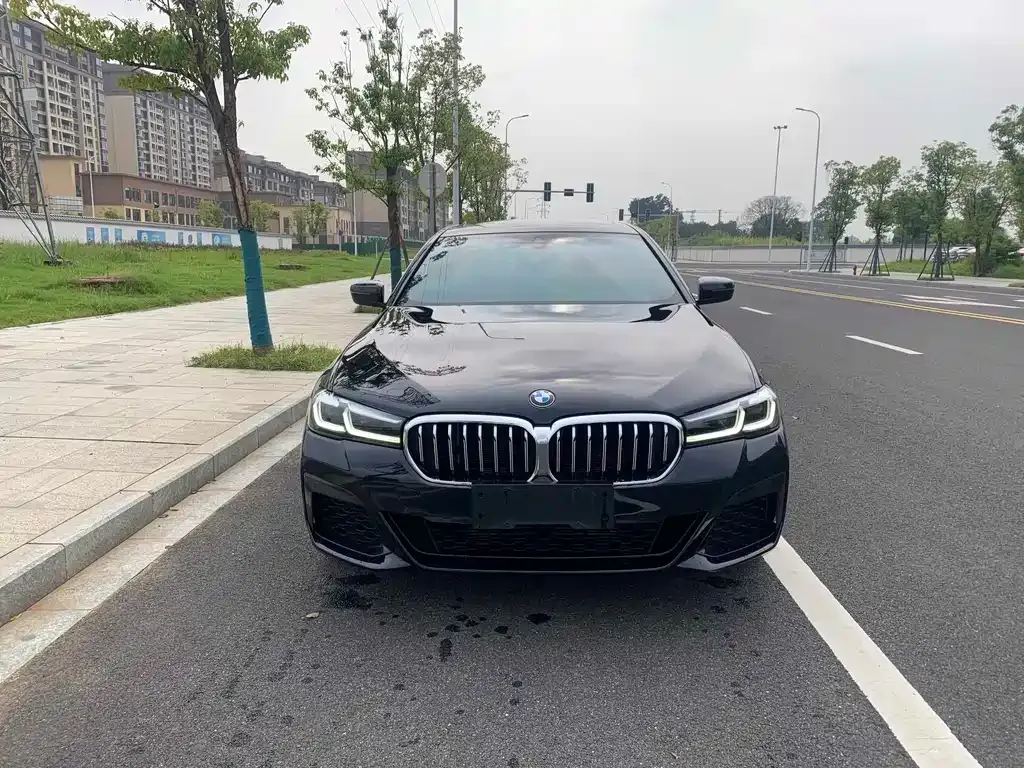 BMW 5 Series 2022 из CN, фото 6