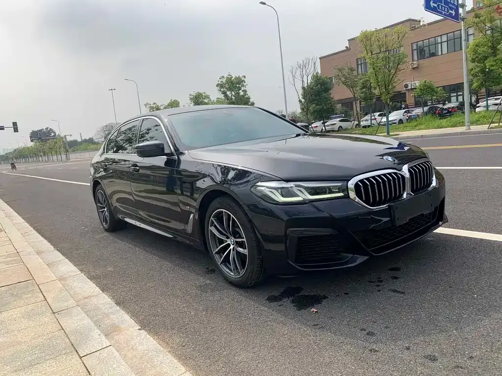 BMW 5 Series 2022 из CN, фото 9
