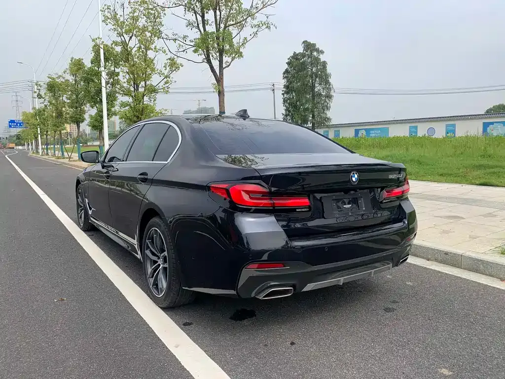 BMW 5 Series 2022 из CN, фото 8