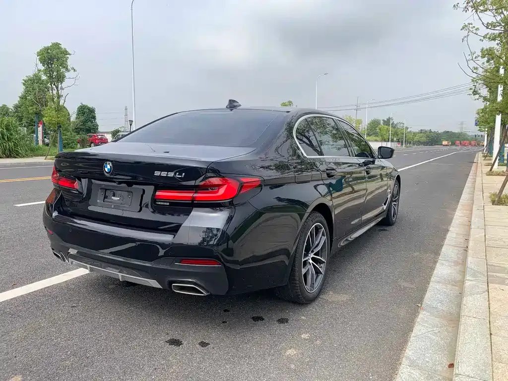 BMW 5 Series 2022 из CN, фото 5