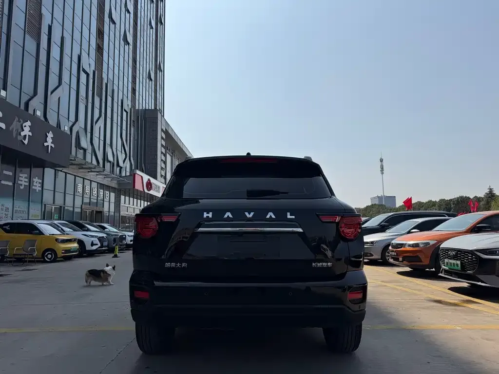 Haval H7 (Big Dog Plus) — фото 8