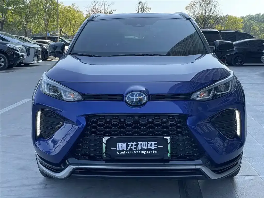 Toyota Wildlander New Energy 2021 из CN, фото 8
