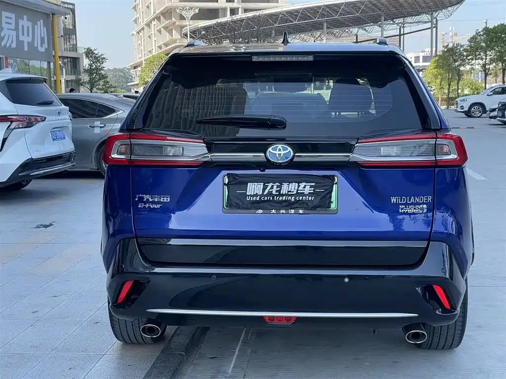 Toyota Wildlander New Energy 2021 из CN, фото 3
