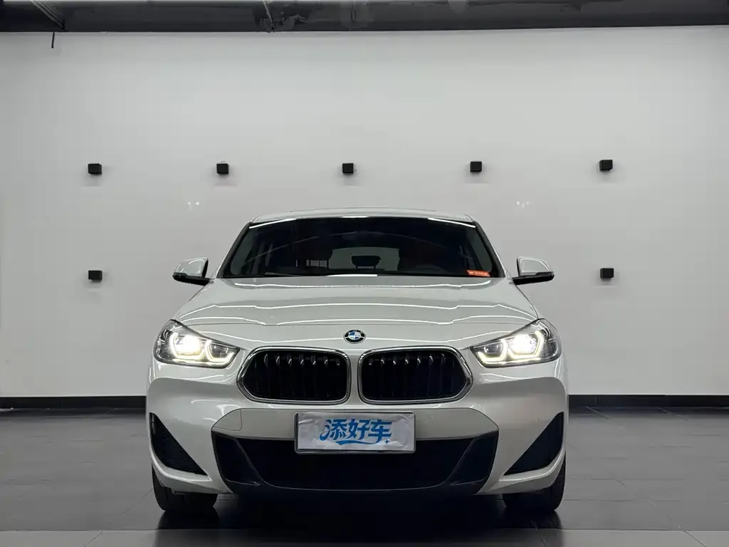 BMW X2 2021 из CN, фото 3