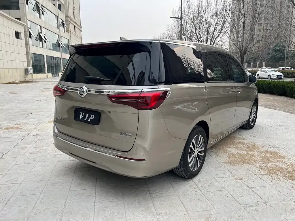 Buick GL8 2024 из CN, фото 8