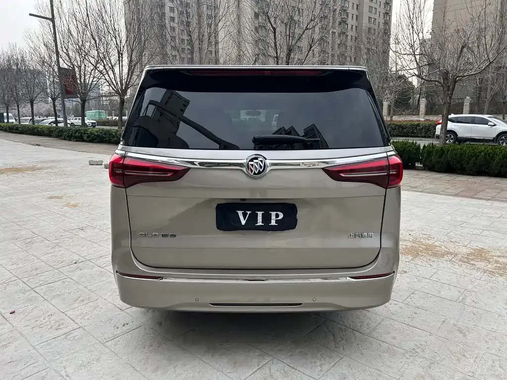 Buick GL8 2024 из CN, фото 6