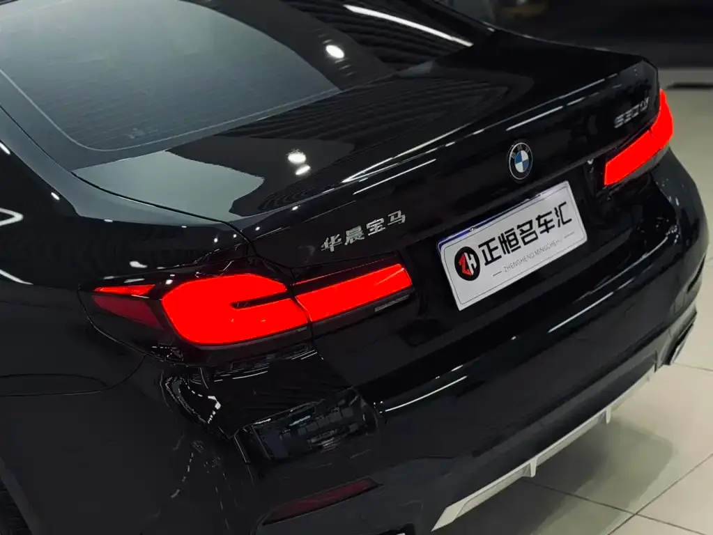 BMW 5 Series 2022 из CN, фото 9