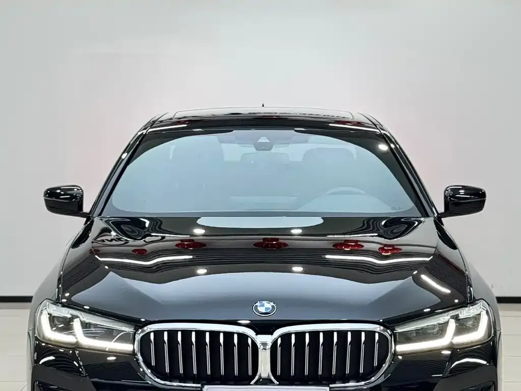 BMW 5 Series 2022 из CN, фото 6