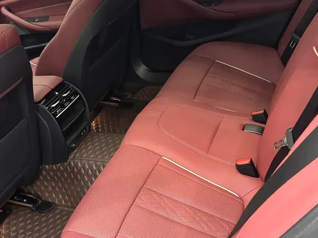 BMW 5 Series 2022 из CN, фото 5