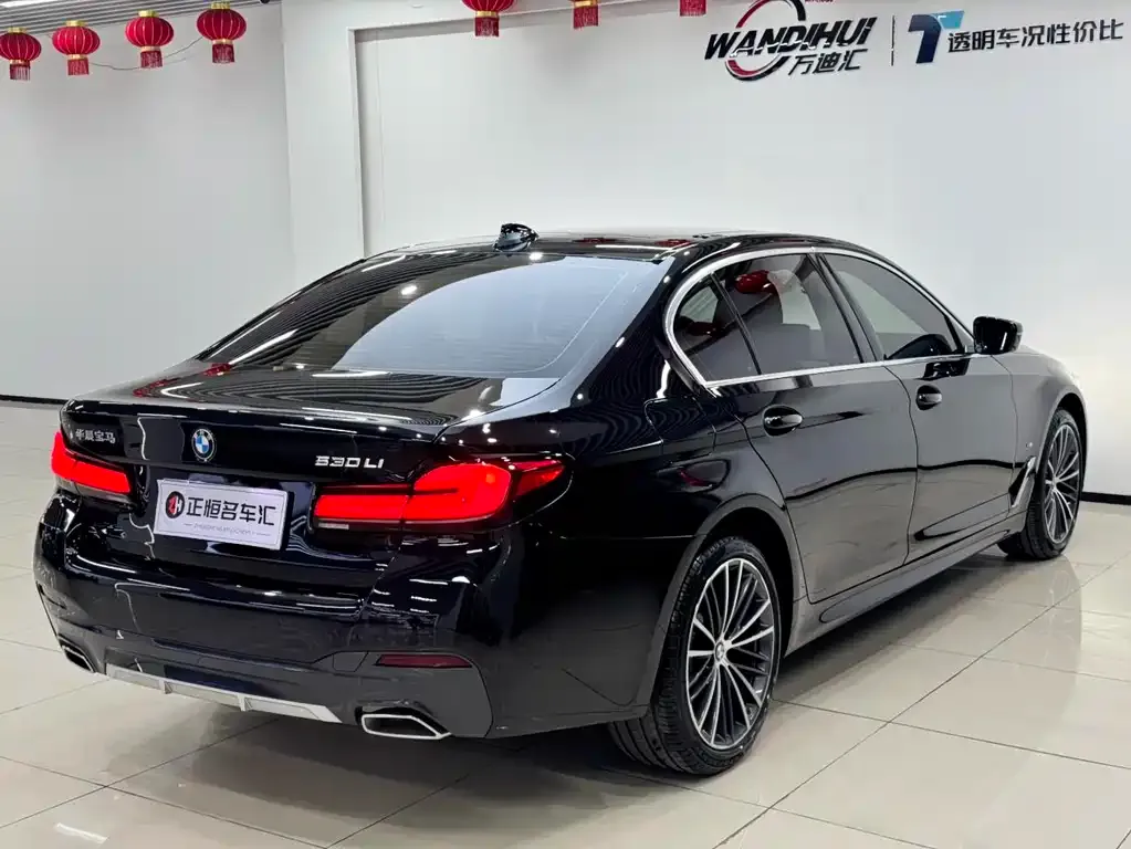 BMW 5 Series 2022 из CN, фото 10