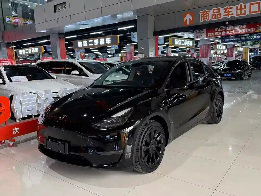 Tesla Model Y 2021 из CN, фото 1