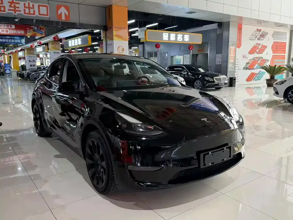 Tesla Model Y 2021 из CN, фото 3