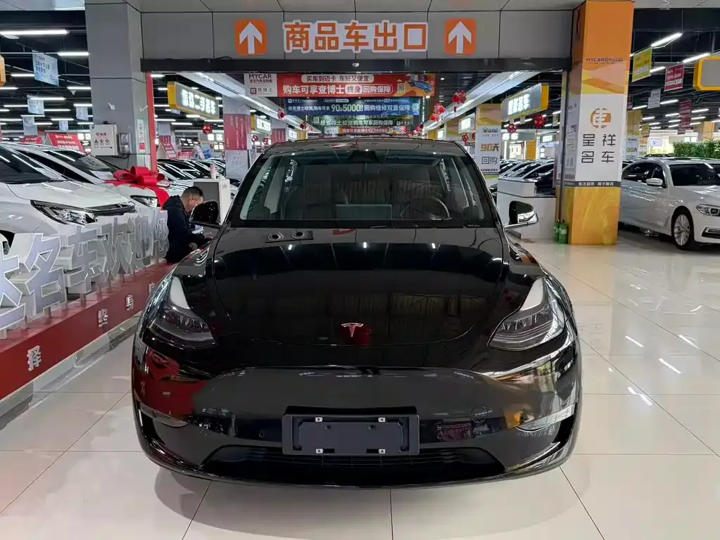 Tesla Model Y 2021 из CN, фото 7
