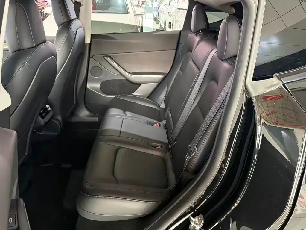 Tesla Model Y 2021 из CN, фото 4