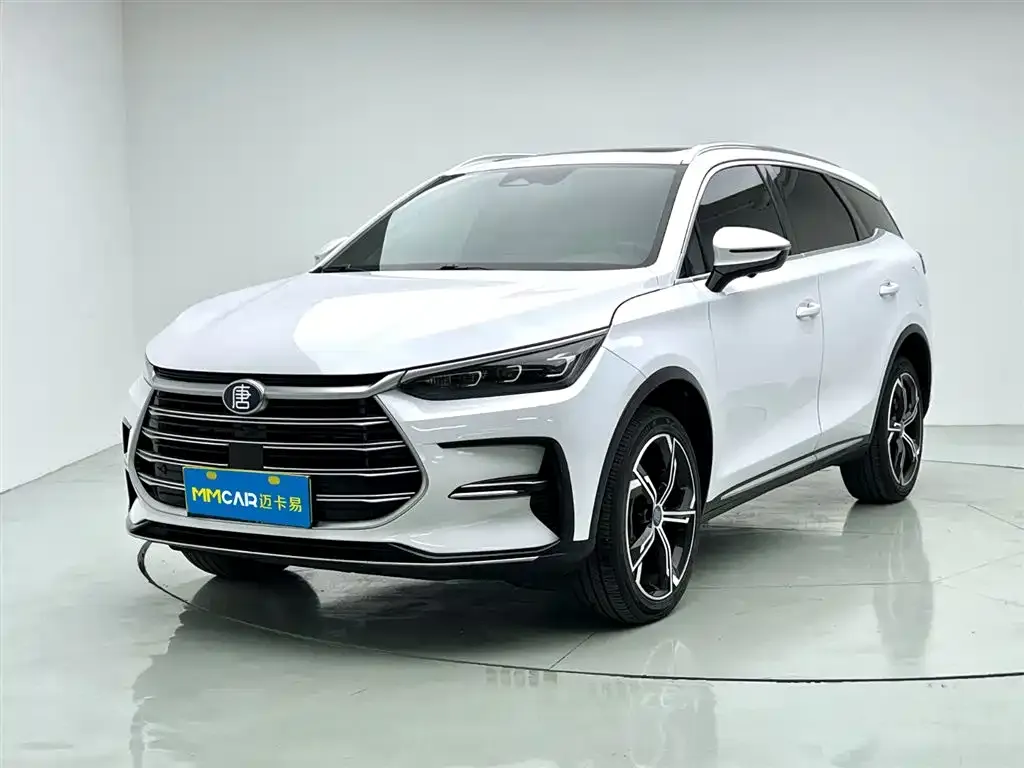 BYD Tang New Energy — фото 1