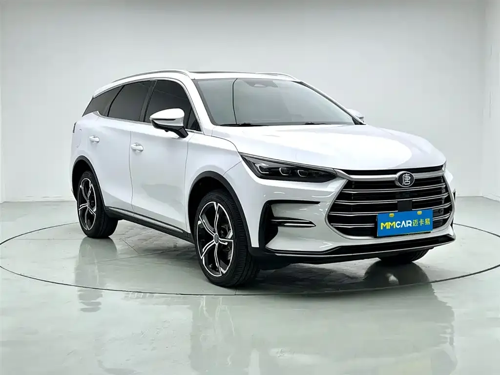 BYD Tang New Energy — фото 10