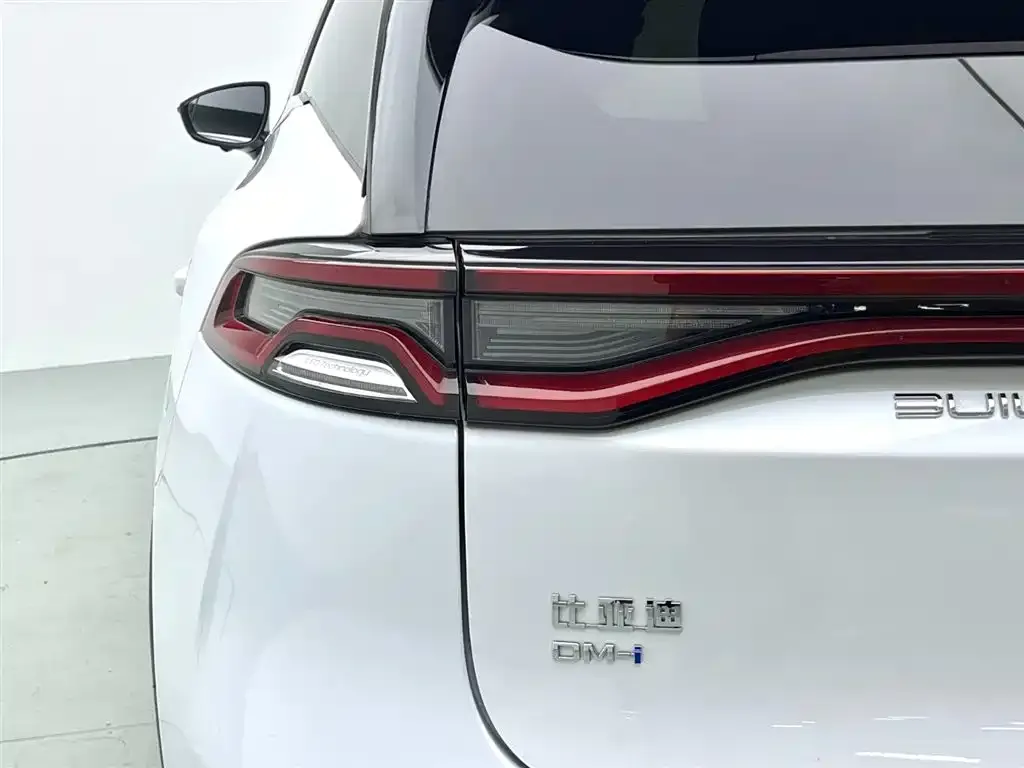 BYD Tang New Energy — фото 8