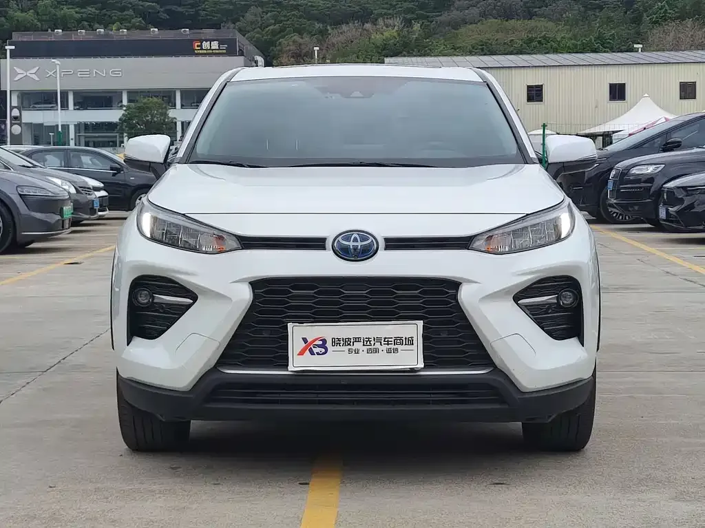 Toyota Wildlander 2021 из CN, фото 5