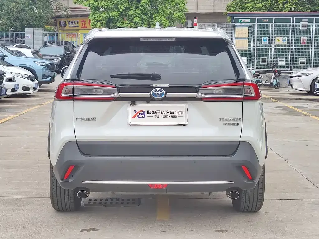 Toyota Wildlander 2021 из CN, фото 10