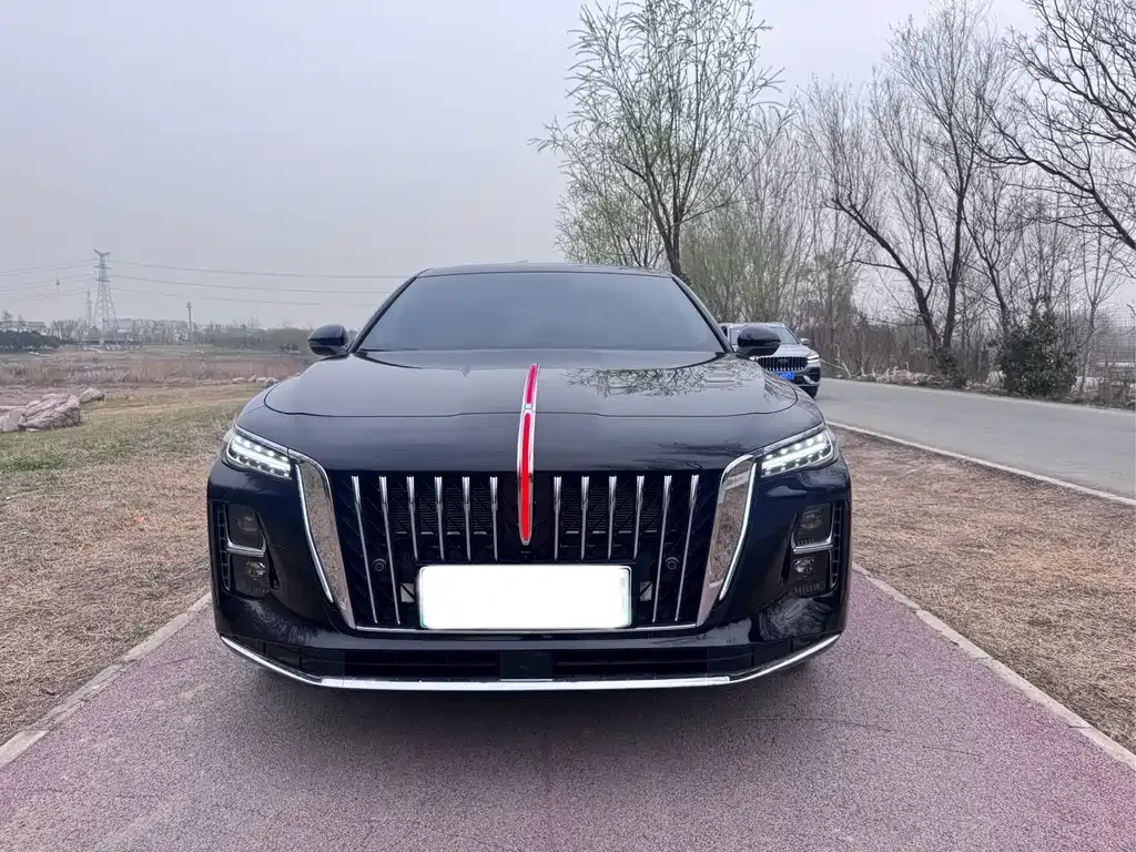 Hongqi H5 PHEV 2025 из CN, фото 3